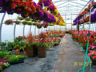 <a href="http://www.mcintoshgreenhouse.com">More Information Available at www.mcintoshgreenhouse.com</a><br><br>Fantastic opportunity on 14+/- acres just south of Goshen, IN with lots of frontage on US 33.  This property is currently zoned commercial-retail and consists of 16 greenhouses with 37,494 SF of heated growing area.  

In addition, it includes retail buildings, shop, and an approx. 1700 SF home adjacent to the business. Opportunities abound with this prime property and the second generation owners retiring and ready to consider offers.  Possible uses of this acreage is unlimited!  A Great location on a busy road, good access and paved parking for 66 vehicles.

 - 14+/- Acres Zoned Commercial-Retail